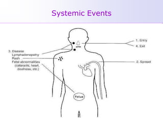 Systemic Events
 