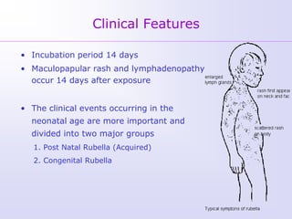 Clinical Features

• Incubation period 14 days
• Maculopapular rash and lymphadenopathy
  occur 14 days after exposure


• The clinical events occurring in the
  neonatal age are more important and
  divided into two major groups
   1. Post Natal Rubella (Acquired)
   2. Congenital Rubella
 