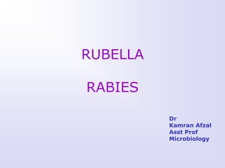 RUBELLA

RABIES

          Dr
          Kamran Afzal
          Asst Prof
          Microbiology
 