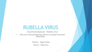 RUBELLA VIRUS
• ClassificationSpecies : Rubella virus
• Only one immunologically distinct serotype has been
described.
–Family : Togaviridae
–Genus : Rubivirus
 
