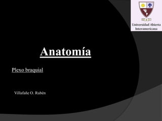 Anatomía Plexo braquial Villafañe O. Rubén 