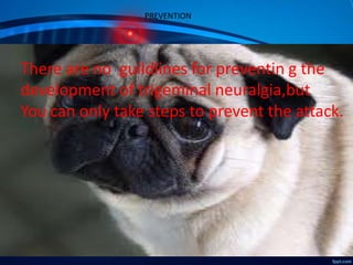 PREVENTION

There are no guildlines for preventin g the
development of trigeminal neuralgia,but
You can only take steps to prevent the attack.

 