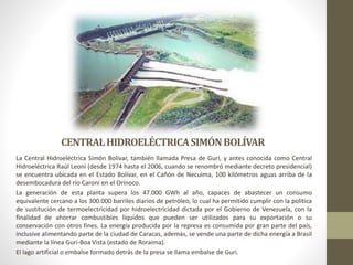 CENTRALHIDROELÉCTRICASIMÓNBOLÍVAR
La Central Hidroeléctrica Simón Bolívar, también llamada Presa de Guri, y antes conocida como Central
Hidroeléctrica Raúl Leoni (desde 1974 hasta el 2006, cuando se renombró mediante decreto presidencial)
se encuentra ubicada en el Estado Bolívar, en el Cañón de Necuima, 100 kilómetros aguas arriba de la
desembocadura del río Caroní en el Orinoco.
La generación de esta planta supera los 47.000 GWh al año, capaces de abastecer un consumo
equivalente cercano a los 300.000 barriles diarios de petróleo, lo cual ha permitido cumplir con la política
de sustitución de termoelectricidad por hidroelectricidad dictada por el Gobierno de Venezuela, con la
finalidad de ahorrar combustibles líquidos que pueden ser utilizados para su exportación o su
conservación con otros fines. La energía producida por la represa es consumida por gran parte del país,
inclusive alimentando parte de la ciudad de Caracas, además, se vende una parte de dicha energía a Brasil
mediante la línea Guri-Boa Vista (estado de Roraima).
El lago artificial o embalse formado detrás de la presa se llama embalse de Guri.
 