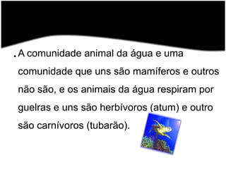 A comunidade animal da água e uma comunidade que uns são mamíferos e outros não são, e os animais da água respiram por guelras e uns são herbívoros (atum) e outro são carnívoros (tubarão).      
