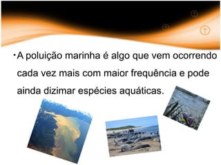A poluição marinha é algo que vem ocorrendo cada vez mais com maior frequência e pode ainda dizimar espécies aquáticas.