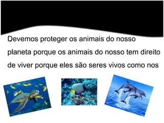 Devemos proteger os animais do nosso planeta porque os animais do nosso tem direito de viver porque eles são seres vivos como nos 
