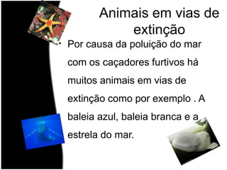Animais em vias de extinçãoPor causa da poluição do mar com os caçadores furtivos há muitos animais em vias de extinção como por exemplo . A baleia azul, baleia branca e a estrela do mar.