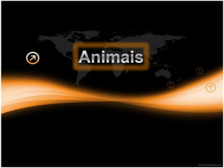 Animais