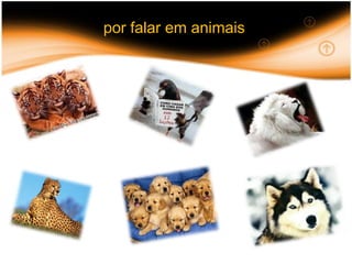  por falar em animais