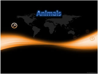 Animais