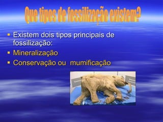 Existem dois tipos principais de fossilização: Mineralização Conservação ou  mumificação Que tipos de fossilização existem? 