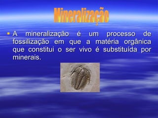 A mineralização é um processo de fossilização em que a matéria orgânica que constitui o ser vivo é substituída por minerais. Mineralização 