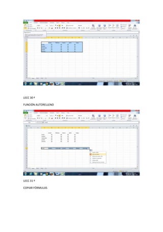 LECC 30 ª
FUNCIÓN AUTORELLENO

LECC 31 ª
COPIAR FÓRMULAS

 