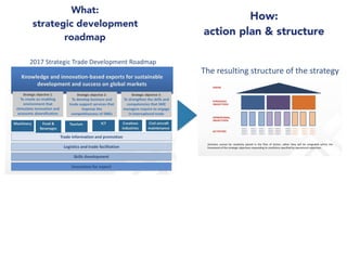 How:  
action plan & structure
What:  
strategic development
roadmap
 
