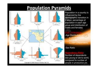 Population Pyramids 
Population in a country is 
influenced by the 
demographic transition in 
2 ways: percentage of 
population in each age 
group and distribution of 
males and females 
POP. PYRAMIDS 
-Age Distribution 
a.) 0-14 (Dependent) 
b.)14-65 
c.) 65+ (Dependent) 
-Sex Ratio 
Dependency Ratio: 
Number of dependents 
(too young or old to work) 
compared to number of 
people in productive yrs. 
 