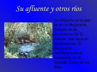 Su afluente y otros ríos Su afluente principal es el río Majaceite, llamado en su nacimiento río El Bosque, que nace en Benamahoma. El Majaceite desemboca en el Guadalete en la llamada Junta de los Ríos  