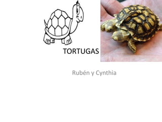 TORTUGAS

  Rubén y Cynthia
 