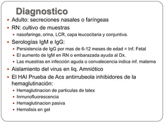 Diagnostico
 Adulto: secreciones nasales o faríngeas
 RN: cultivo de muestras
   nasofaringe, orina, LCR, capa leucocitaria y conjuntiva.
 Serologías IgM e IgG:
   Persistencia de IgG por mas de 6-12 meses de edad = Inf. Fetal
   El aumento de IgM en RN o embarazada ayuda al Dx.
   Las muestras en infección aguda o convalecencia indica inf. materna
 Aislamiento del virus en liq. Amniótico
 El HAI Prueba de Acs antirrubeola inhibidores de la
  hemaglutinación:
   Hemaglutinacion de particulas de latex
   Inmunofluorescencia
   Hemaglutinacion pasiva
   Hemolisis en gel
 