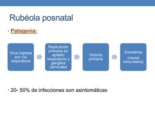 Rubéola posnatal
• Patogenia:
• 20- 50% de infecciones son asintomáticas
Virus ingresa
por vía
respiratoria
Replicación
primaria en
epitelio
respiratorio y
ganglios
cervicales
Viremia
primaria
Exantema
(causa
inmunitaria)
 