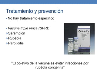 Tratamiento y prevención
• No hay tratamiento específico
• Vacuna triple vírica (SPR):
Sarampión
Rubéola
Parotiditis
“El objetivo de la vacuna es evitar infecciones por
rubéola congénita”
 