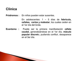 Clínica RUBEOLA 
Pródromos : En niños pueden estar ausentes. 
En adolescentes: 1 – 5 días de febrícula, 
cefalea, coriza y malestar, los cuales ceden en 
el 1er día del brote. 
Exantema : Puede ser la primera manifestación céfalo 
caudal, generalizándose en el 1er día, máculo 
papular discreto, pudiendo confluir, desaparece 
en el 3er día. 
 