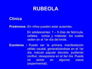 RUBEOLA Clínica Pródromos : En niños pueden estar ausentes.  En adolescentes: 1 – 5 días de febrícula, cefalea,  coriza y malestar, los cuales ceden en el 1er día del brote. Exantema : Puede ser la primera manifestación céfalo caudal, generalizándose en el 1er día, máculo papular discreto, pudiendo confluir, desaparece en el 3er día. Puede no existir en algunos casos (experimental). 