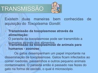 TRANSMISSÃO
Existem duas maneiras bem conhecidas de
aquisição do Toxoplasma Gondii:
• Transmissão da toxoplasmose através da
alimentação:
O parasita da toxoplasmose pode ser transmitido a
humanos através dos alimentos.
• Transmissão da toxoplasmose de animais para
humanos - zoonose
Os gatos desempenham um papel importante na
disseminação da toxoplasmose. Gatos ficam infectados ao
comer roedores, passarinhos e outros pequeno animais
contaminados. O parasita então é passado nas fezes do
gato na forma de oocisto, o qual é microscópio.
 