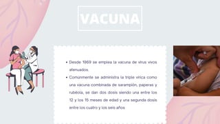 VACUNA
Desde 1969 se emplea la vacuna de virus vivos
atenuados.
Comúnmente se administra la triple vírica como
una vacuna combinada de sarampión, paperas y
rubéola, se dan dos dosis siendo una entre los
12 y los 15 meses de edad y una segunda dosis
entre los cuatro y los seis años
 