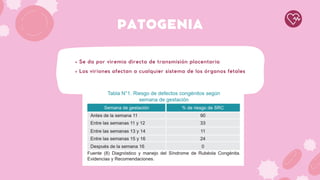 PATOGENIA
Se da por viremia directa de transmisión placentaria
Los viriones afectan a cualquier sistema de los órganos fetales
 