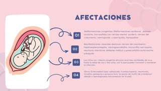 01
02
03
04
Malformaciones congénitas: Malformaciones cardíacas , lesiones
oculares, microcefalia con retraso mental, sordera, retraso del
crecimiento, meningocele, criptorquidia, hipospadias
AFECTACIONES
Manifestaciones viscerales destacan retraso del crecimiento,
hepatoesplenomegalia, meningoencefalitis, miocarditis necrosante,
neumonía intersticial, diabetes mellitus y panencefalitis esclerosante
subaguda
Los niños con rubéola congénita eliminan enormes cantidades de virus
hasta la edad de uno o dos años, con lo que pueden transmitir y mantener
la infección.
Otros: Enfermedad ósea radiolúcida, trombocitopenia, neumonitis,
tiroiditis, petequias y púrpura (una "erupción de muffin de arándanos"
debido a hematopoyesis extramedular en la piel)
 