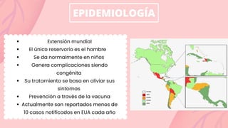 EPIDEMIOLOGÍA
Extensión mundial
El único reservorio es el hombre
Se da normalmente en niños
Genera complicaciones siendo
congénita
Su tratamiento se basa en aliviar sus
síntomas
Prevención a través de la vacuna
Actualmente son reportados menos de
10 casos notificados en EUA cada año
 