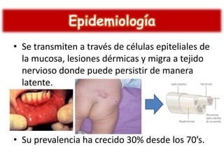 Epidemiología
• Se transmiten a través de células epiteliales de
la mucosa, lesiones dérmicas y migra a tejido
nervioso donde puede persistir de manera
latente.

• Su prevalencia ha crecido 30% desde los 70’s.

 