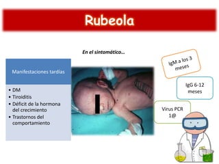 Rubeola
En el sintomático…

Manifestaciones tardías
• DM
• Tiroiditis
• Déficit de la hormona
del crecimiento
• Trastornos del
comportamiento

IgG 6-12
meses
Virus PCR
1@

 