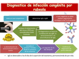 Diagnostico de infección congénita por
rubeola
Ante un caso sospechoso

determinar IgG e IgM

Aunque el aislamiento
del virus y PCR son
considerados Gold
Estándar

La demostración de
seroconversión entre 2
sueros

•

tomados el
primero 7-10 días
desde el comienzo
de los síntomas

si son negativas se debe
realizar seguimiento
serológico a las 3 y 6 semanas

el diagnostico se basa en
la detección de IgM, la
seroconversión o el
serorrefuerzo de IgG.

y el segundo 15-21
días después

Confirma el
diagnostico de
primo infección.

IgG es detectable a los 8 días de la aparición del exantema, permaneciendo de por vida.

 
