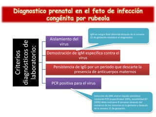 Criterios
diagnósticos de
laboratorio:

Diagnostico prenatal en el feto de infección
congénita por rubeola
Aislamiento del
virus

IgM en sangre fetal obtenida después de la semana
22 de gestación establece el diagnostico.

Demostración de IgM especifica contra el
virus
Persistencia de IgG por un periodo que descarte la
presencia de anticuerpos maternos
PCR positiva para el virus
Detección de ARN viral en liquido amniótico
mediante PCR (especificidad 100%, sensibilidad 87100%) debe realizarse 8 semanas después del
comienzo de los síntomas en la gestante y después
de la semana 15 de gestación.

 