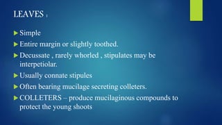LEAVES :
 Simple
 Entire margin or slightly toothed.
 Decussate , rarely whorled , stipulates may be
interpetiolar.
 Usually connate stipules
 Often bearing mucilage secreting colleters.
 COLLETERS – produce mucilaginous compounds to
protect the young shoots
 