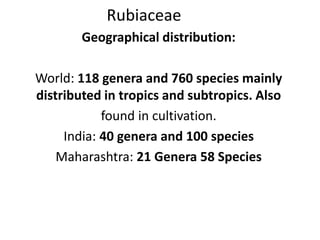 Rubiaceae
Geographical distribution:
World: 118 genera and 760 species mainly
distributed in tropics and subtropics. Also
found in cultivation.
India: 40 genera and 100 species
Maharashtra: 21 Genera 58 Species
 