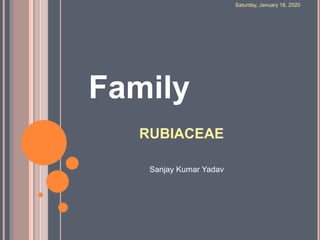 RUBIACEAE
Family
Saturday, January 18, 2020
Sanjay Kumar Yadav
 
