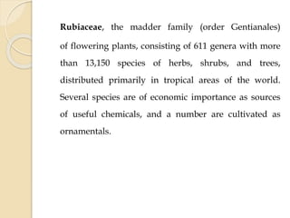 Rubiaceae, the madder family (order Gentianales)
of flowering plants, consisting of 611 genera with more
than 13,150 species of herbs, shrubs, and trees,
distributed primarily in tropical areas of the world.
Several species are of economic importance as sources
of useful chemicals, and a number are cultivated as
ornamentals.
 