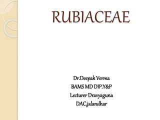 RUBIACEAE
Dr.DeepakVerma
BAMS MD DIP.Y&P
Lecturer Dravyaguna
DAC,jalandhar
 