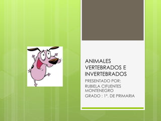 ANIMALES
VERTEBRADOS E
INVERTEBRADOS
PRESENTADO POR:
RUBIELA CIFUENTES
MONTENEGRO
GRADO : 1º. DE PRIMARIA
 