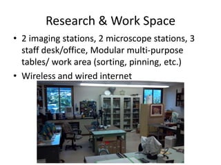 Research & Work Space
• 2 imaging stations, 2 microscope stations, 3
staff desk/office, Modular multi-purpose
tables/ work area (sorting, pinning, etc.)
• Wireless and wired internet

 