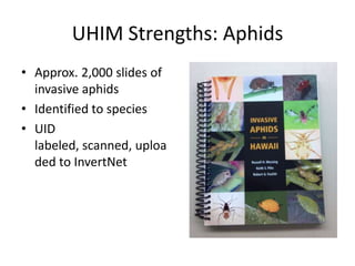 UHIM Strengths: Aphids
• Approx. 2,000 slides of
invasive aphids
• Identified to species
• UID
labeled, scanned, uploa
ded to InvertNet

 