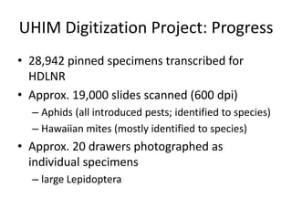 UHIM Digitization Project: Progress
• 28,942 pinned specimens transcribed for
HDLNR
• Approx. 19,000 slides scanned (600 dpi)
– Aphids (all introduced pests; identified to species)
– Hawaiian mites (mostly identified to species)

• Approx. 20 drawers photographed as
individual specimens
– large Lepidoptera

 