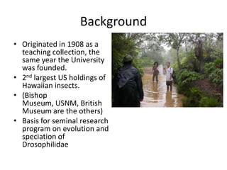 Background
• Originated in 1908 as a
teaching collection, the
same year the University
was founded.
• 2nd largest US holdings of
Hawaiian insects.
• (Bishop
Museum, USNM, British
Museum are the others)
• Basis for seminal research
program on evolution and
speciation of
Drosophilidae

 