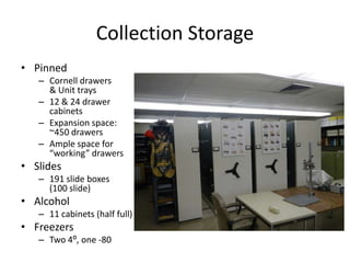 Collection Storage
• Pinned
– Cornell drawers
& Unit trays
– 12 & 24 drawer
cabinets
– Expansion space:
~450 drawers
– Ample space for
“working” drawers

• Slides
– 191 slide boxes
(100 slide)

• Alcohol
– 11 cabinets (half full)

• Freezers
– Two 4:, one -80

 