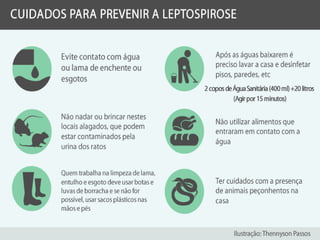 Rubéola E Leptospirose