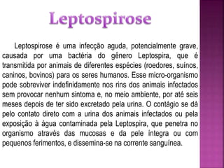 Leptospirose é uma infecção aguda, potencialmente grave,
causada por uma bactéria do gênero Leptospira, que é
transmitida por animais de diferentes espécies (roedores, suínos,
caninos, bovinos) para os seres humanos. Esse micro-organismo
pode sobreviver indefinidamente nos rins dos animais infectados
sem provocar nenhum sintoma e, no meio ambiente, por até seis
meses depois de ter sido excretado pela urina. O contágio se dá
pelo contato direto com a urina dos animais infectados ou pela
exposição à água contaminada pela Leptospira, que penetra no
organismo através das mucosas e da pele íntegra ou com
pequenos ferimentos, e dissemina-se na corrente sanguínea.
 
