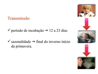Transmissão período de incubação    12 a 23 dias sazonalidade    final do inverno início da primavera. 