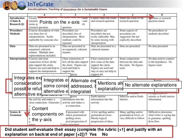 Essay peer review rubric
